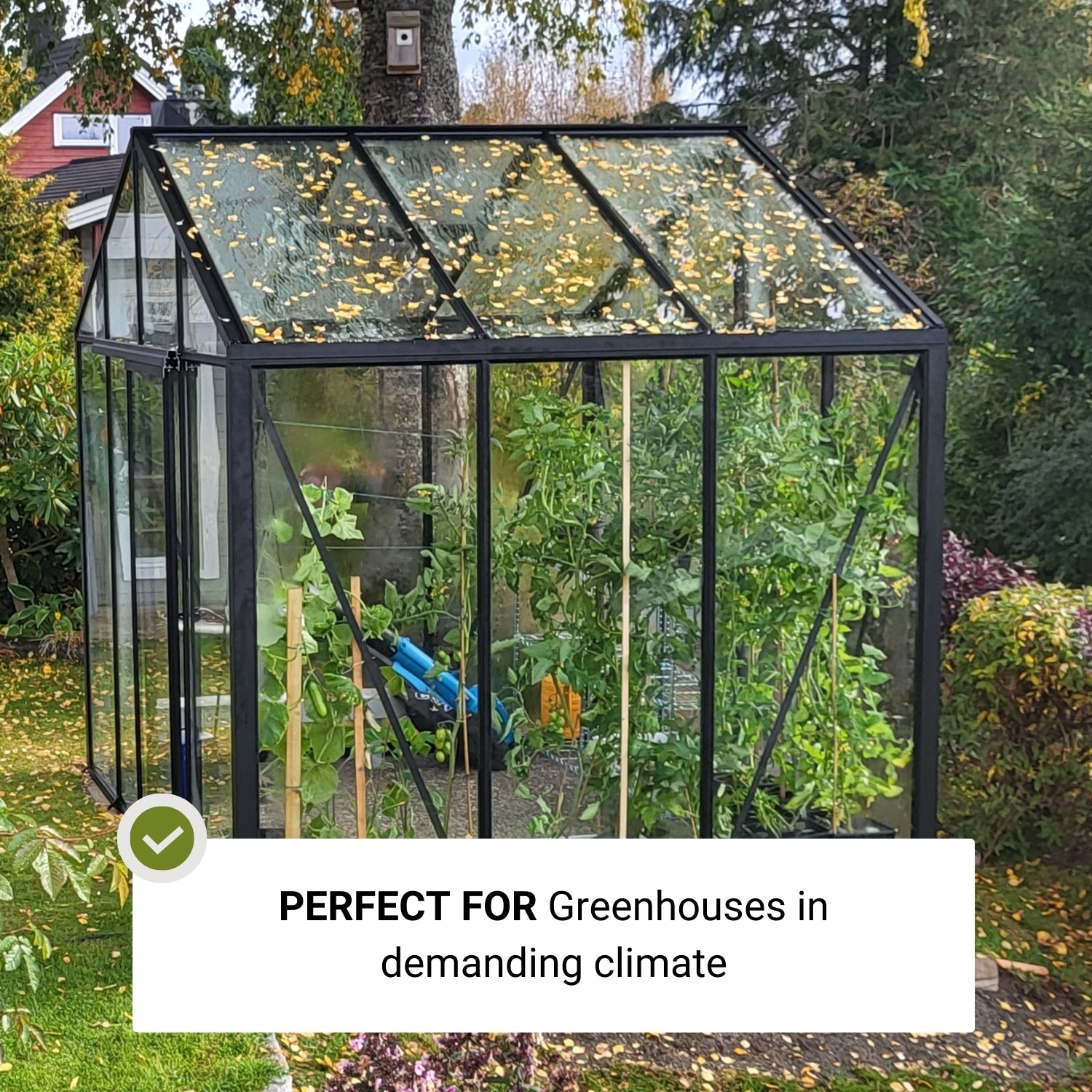Scandiglas Greenhouse